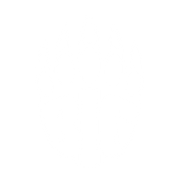 BIG logo